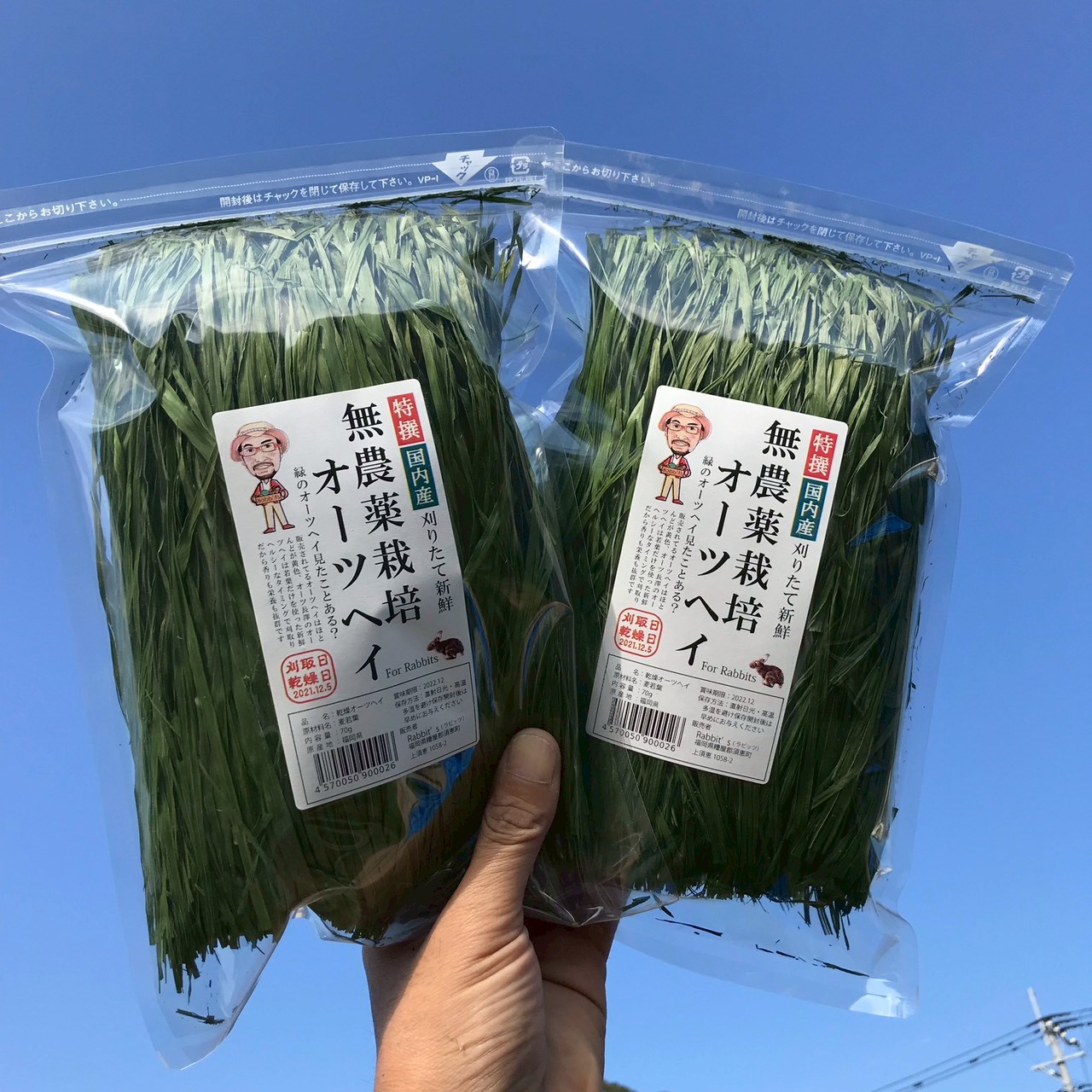 Fukuoka Hay 70g premium Japanese oat hay pack